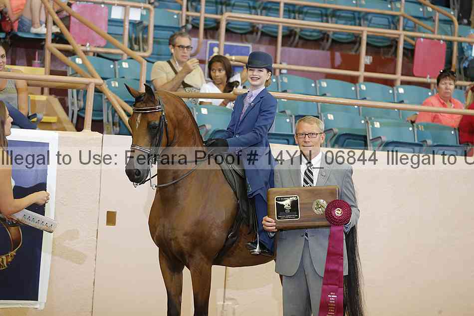 Proof 14yn_06844