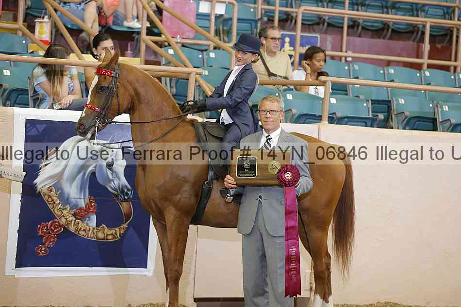 Proof 14yn_06846
