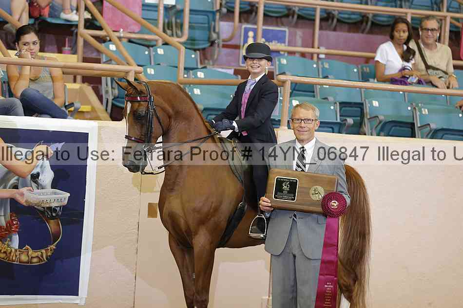 Proof 14yn_06847