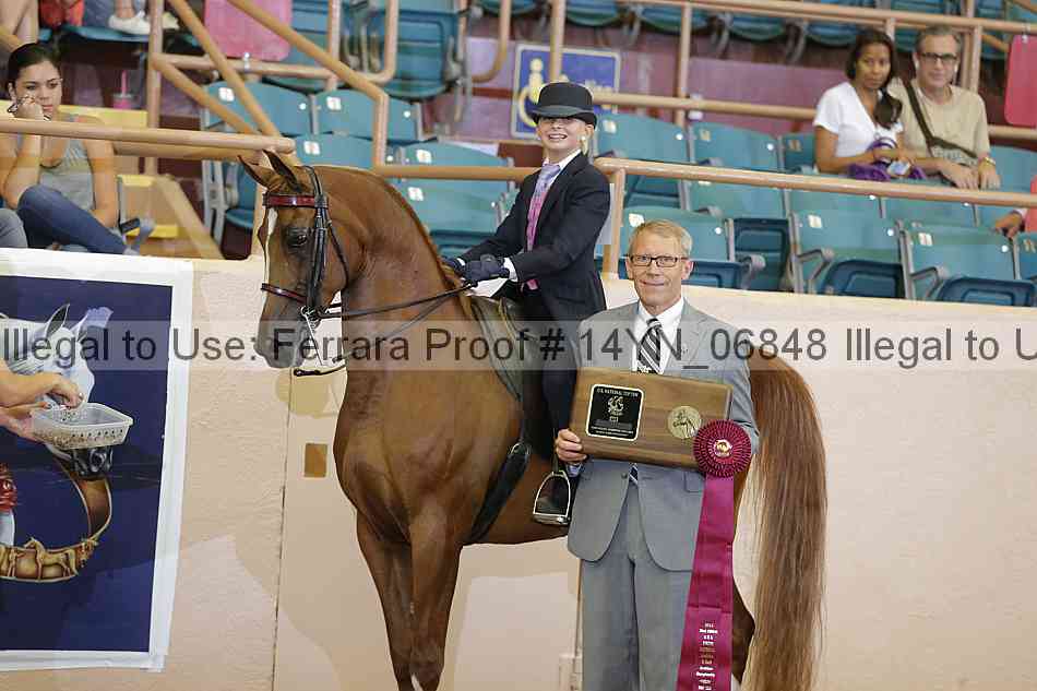 Proof 14yn_06848