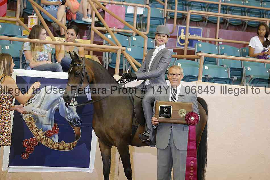Proof 14yn_06849
