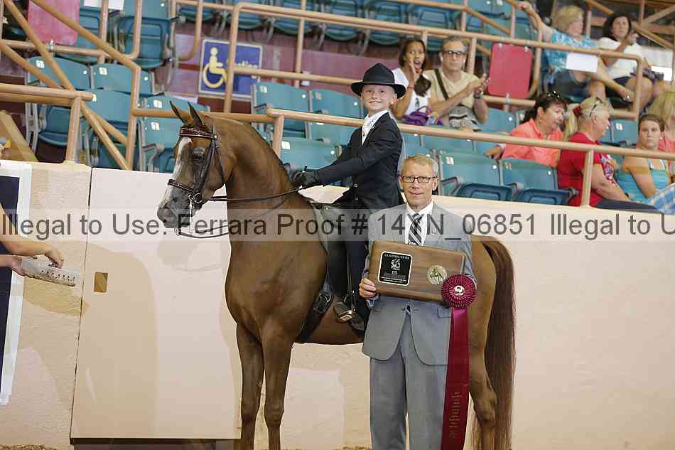 Proof 14yn_06851