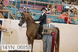 14yn_06851 proof