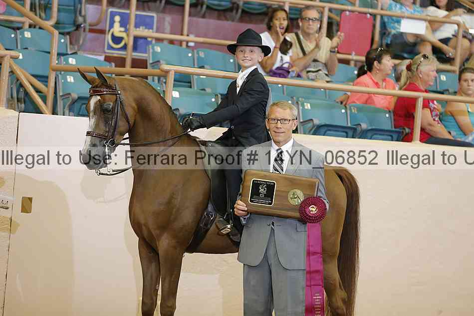Proof 14yn_06852