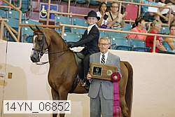 14yn_06852 proof