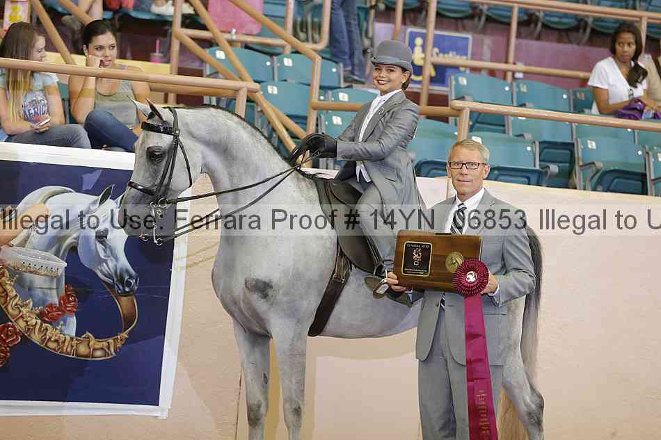 Proof 14yn_06853