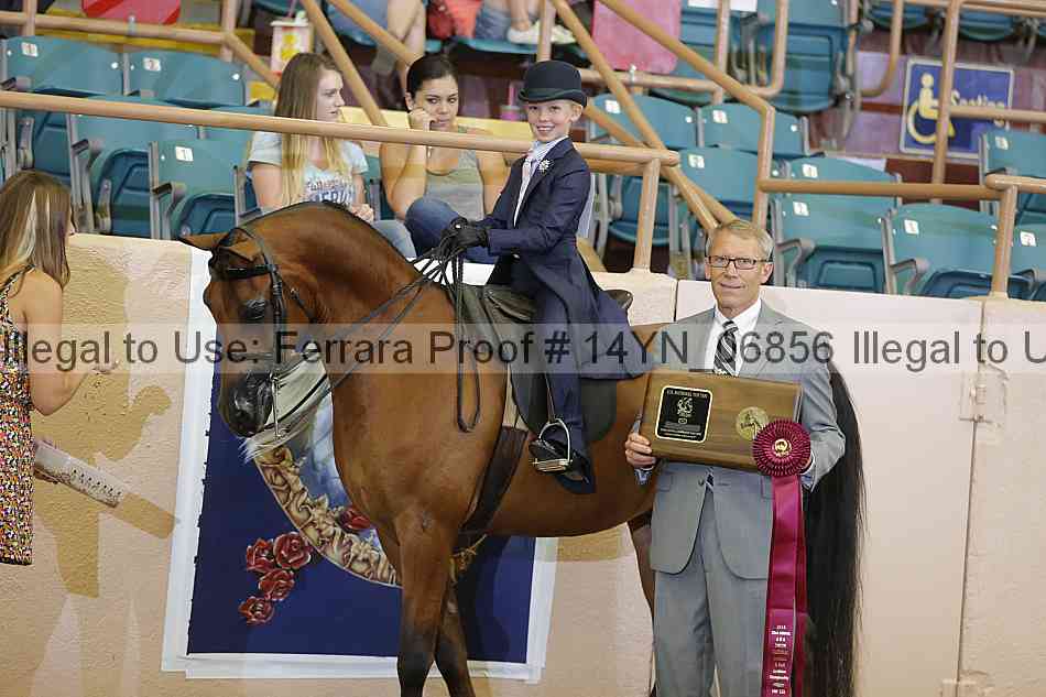 Proof 14yn_06856