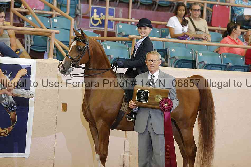 Proof 14yn_06857