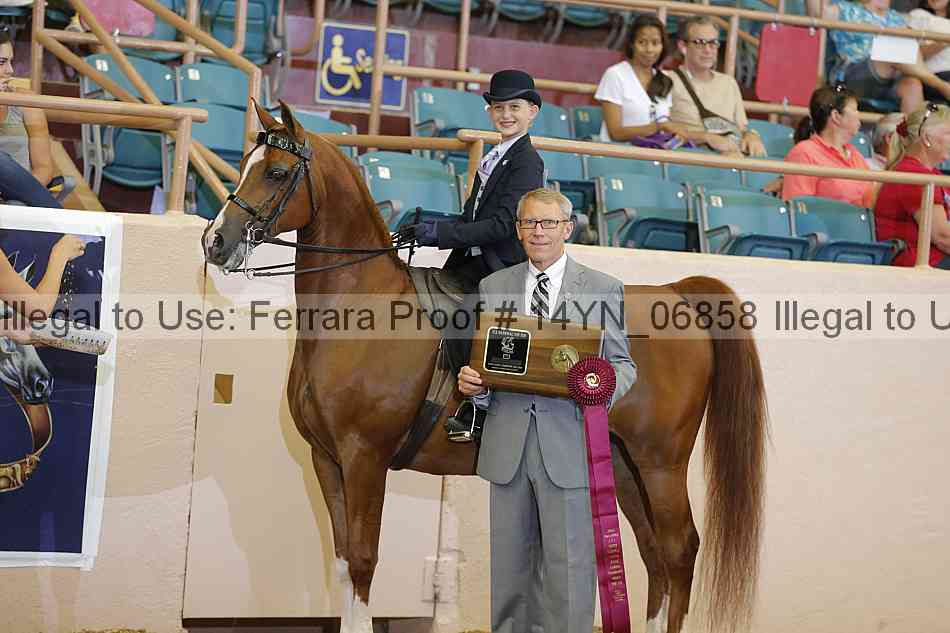 Proof 14yn_06858