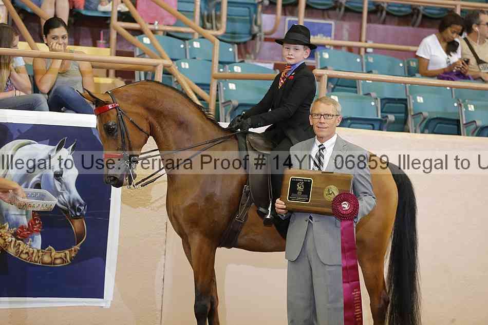 Proof 14yn_06859
