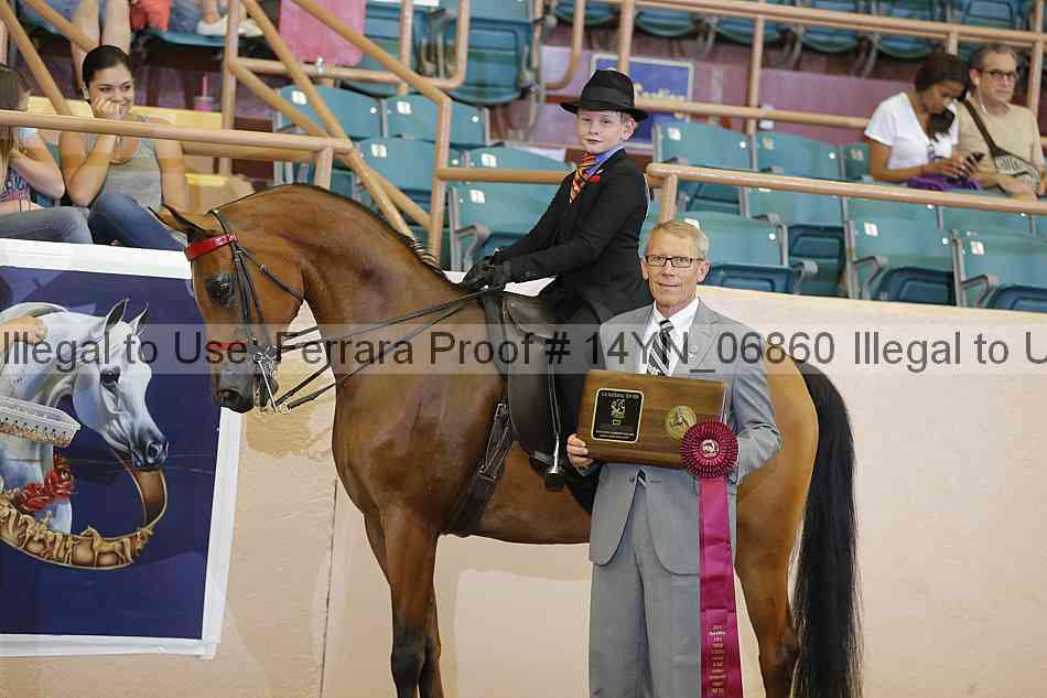Proof 14yn_06860