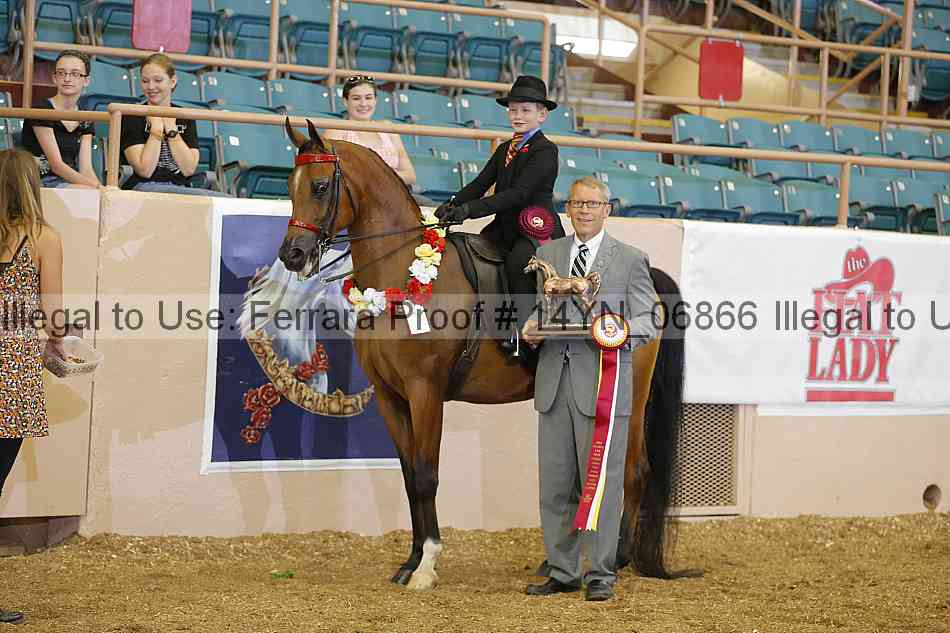 Proof 14yn_06866