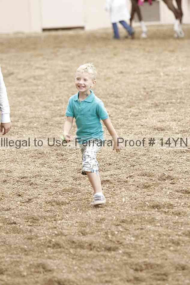 Proof 14yn_06872