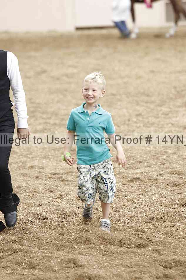 Proof 14yn_06873