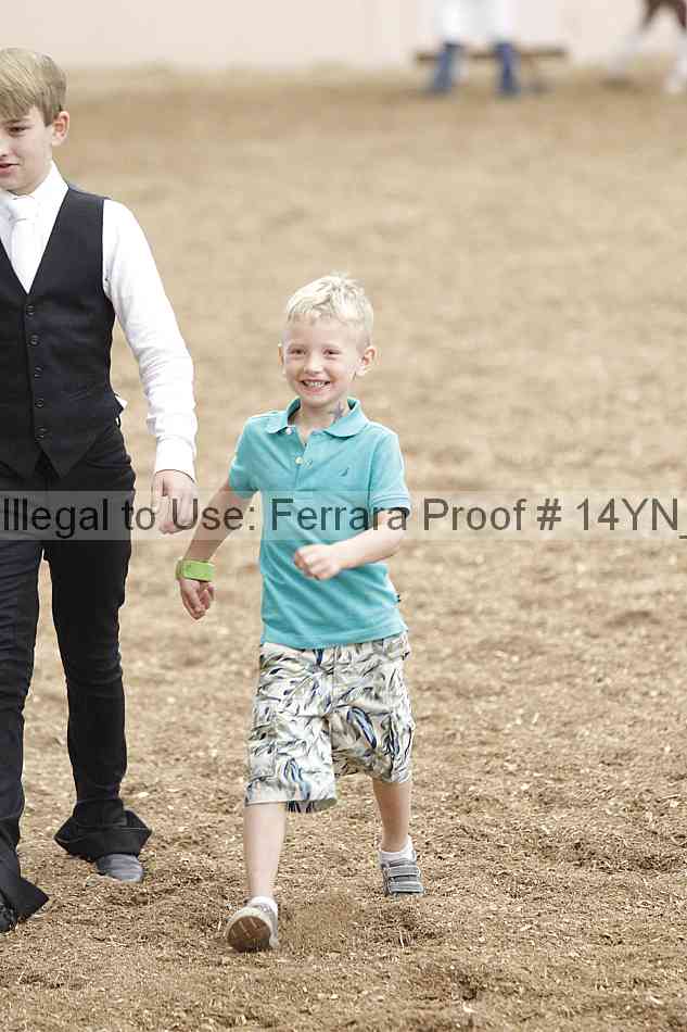 Proof 14yn_06874