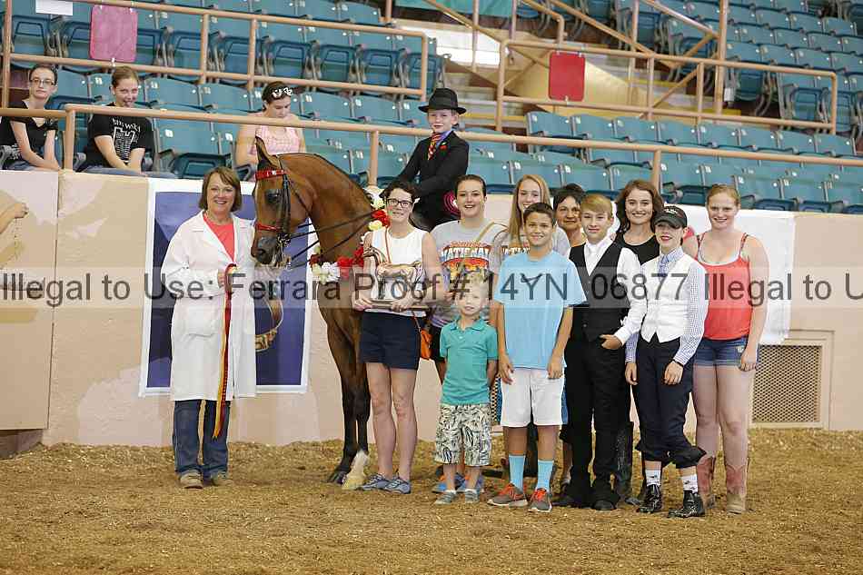 Proof 14yn_06877