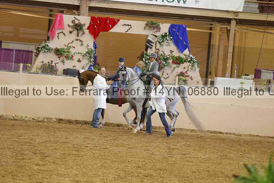 Proof 14yn_06880