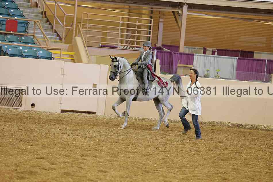 Proof 14yn_06881