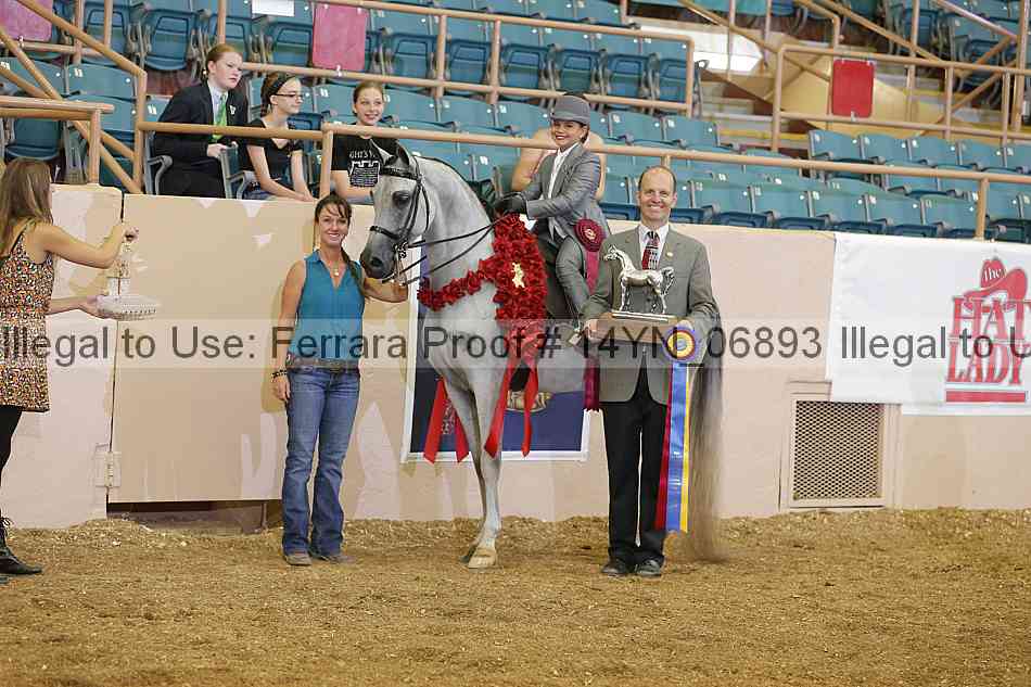 Proof 14yn_06893