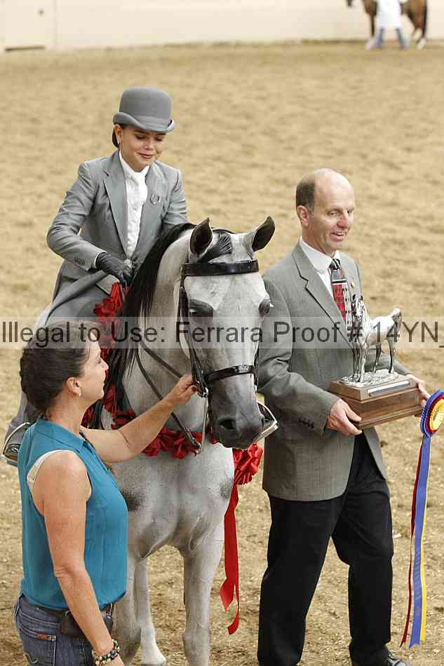 Proof 14yn_06896