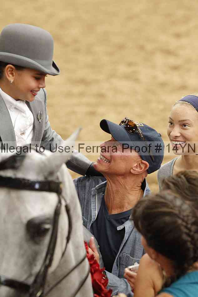Proof 14yn_06906