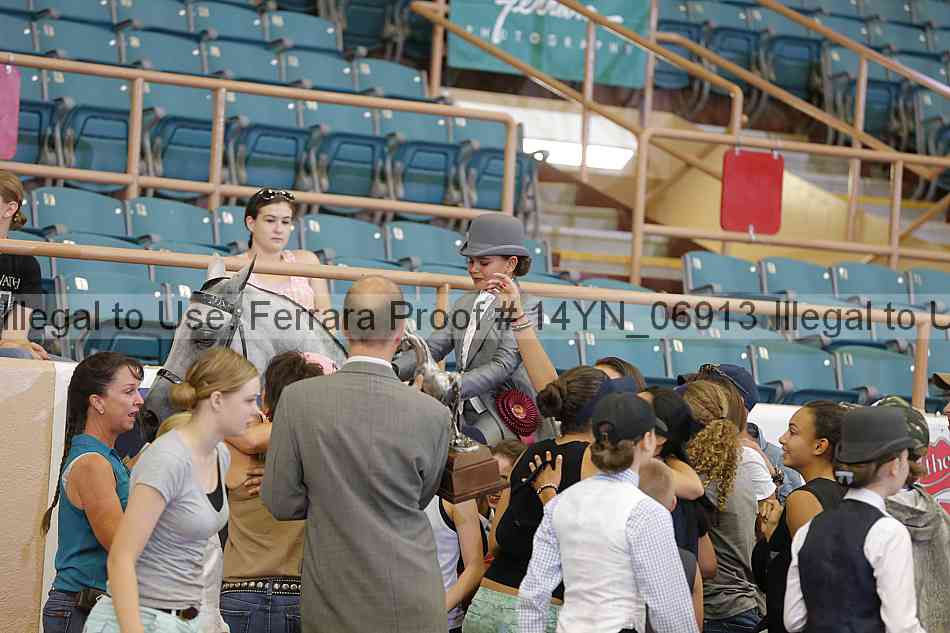 Proof 14yn_06913