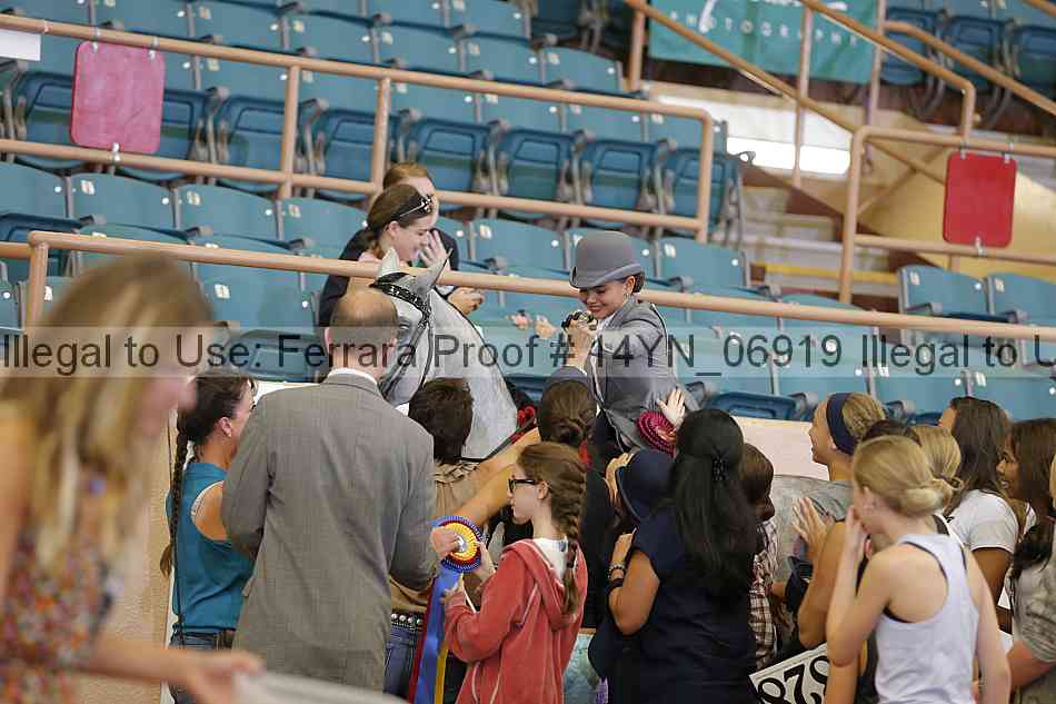 Proof 14yn_06919