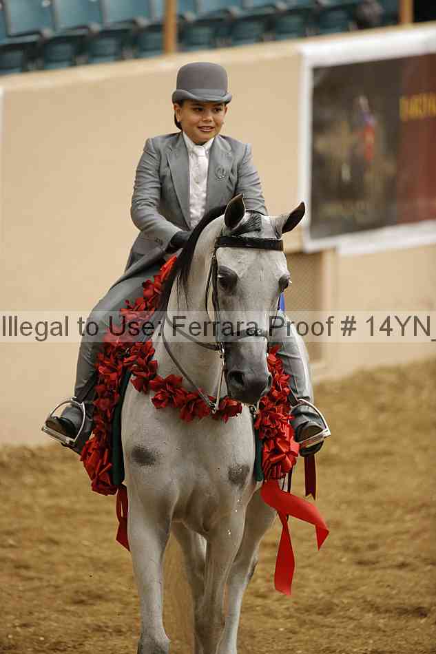 Proof 14yn_06923