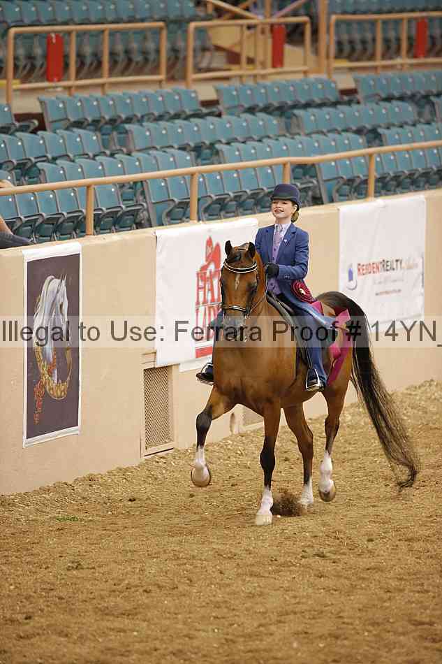Proof 14yn_06926