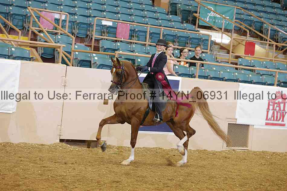 Proof 14yn_06931