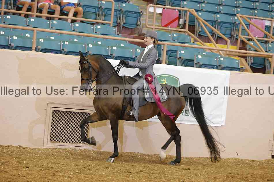 Proof 14yn_06935