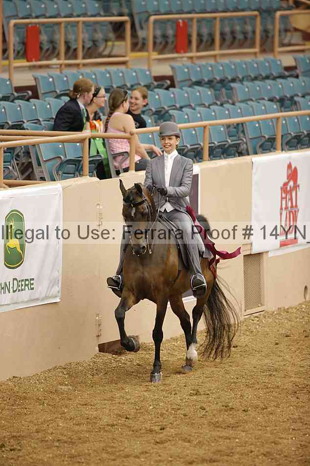 Proof 14yn_06936