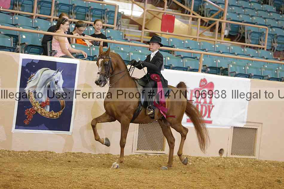 Proof 14yn_06938
