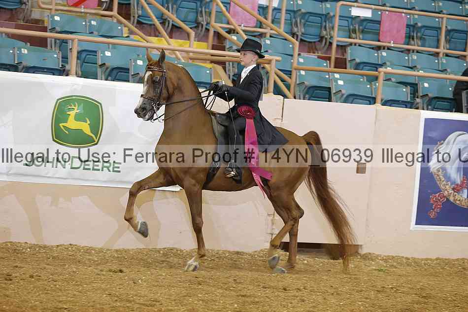 Proof 14yn_06939