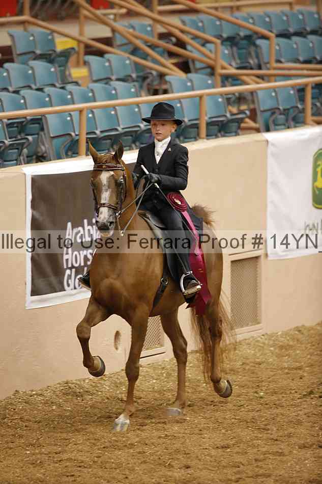 Proof 14yn_06941