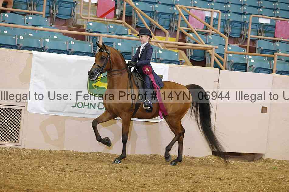 Proof 14yn_06944