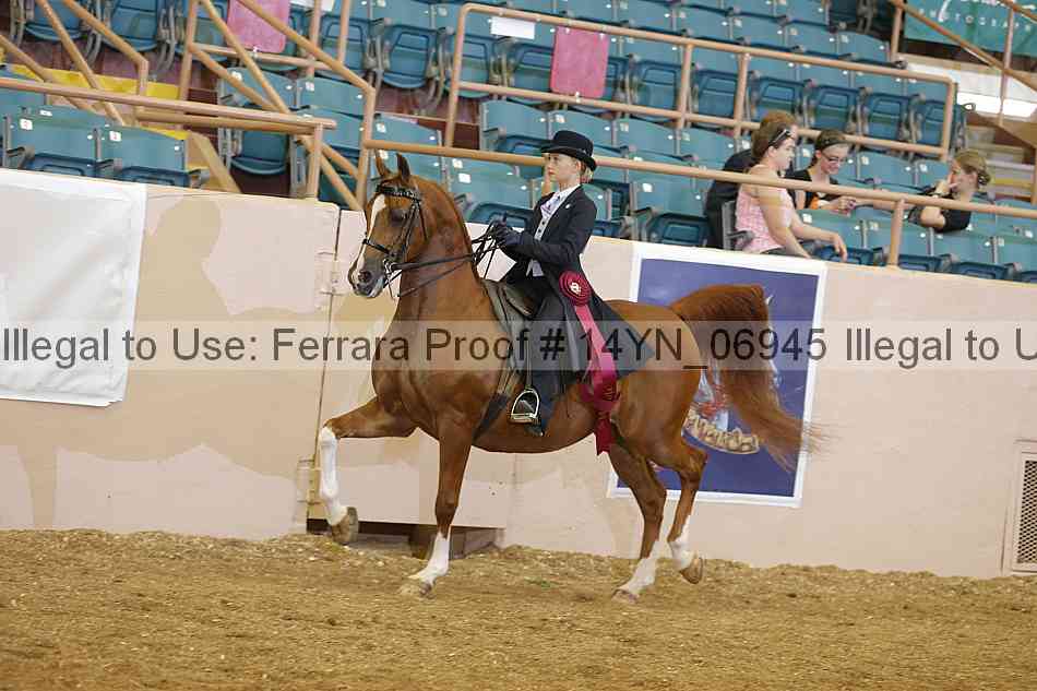 Proof 14yn_06945