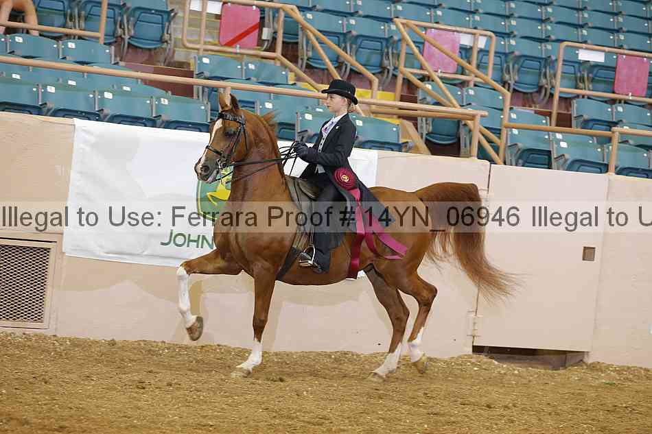 Proof 14yn_06946