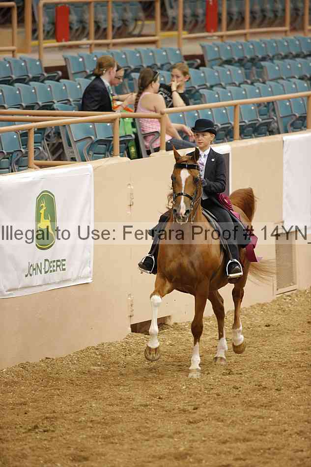 Proof 14yn_06949
