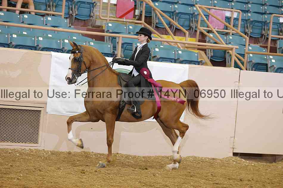 Proof 14yn_06950