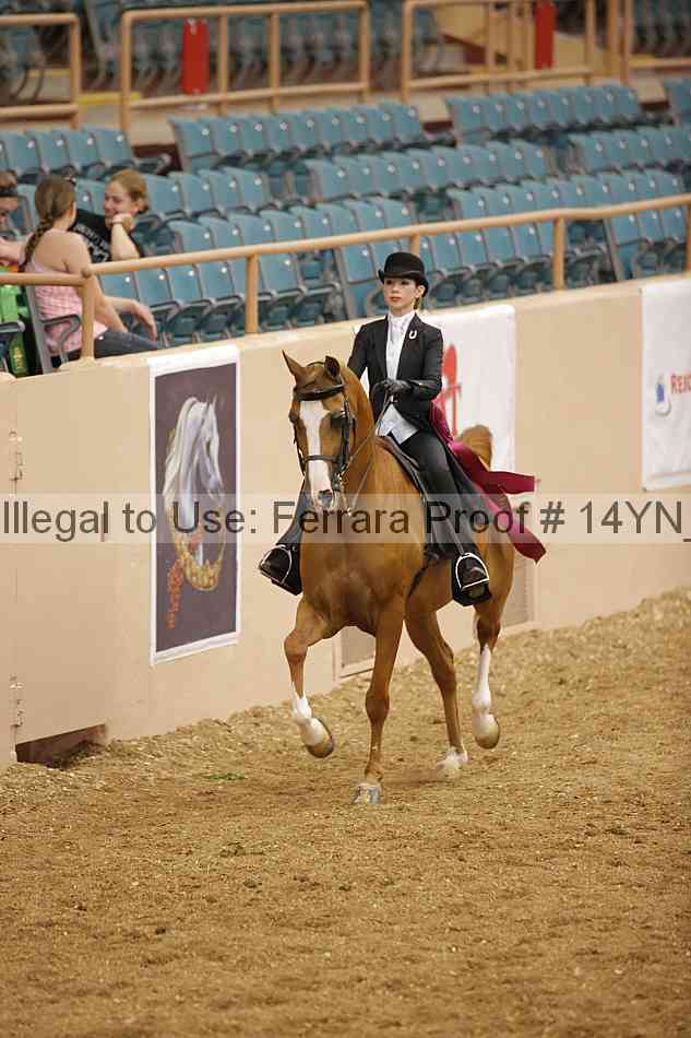 Proof 14yn_06951