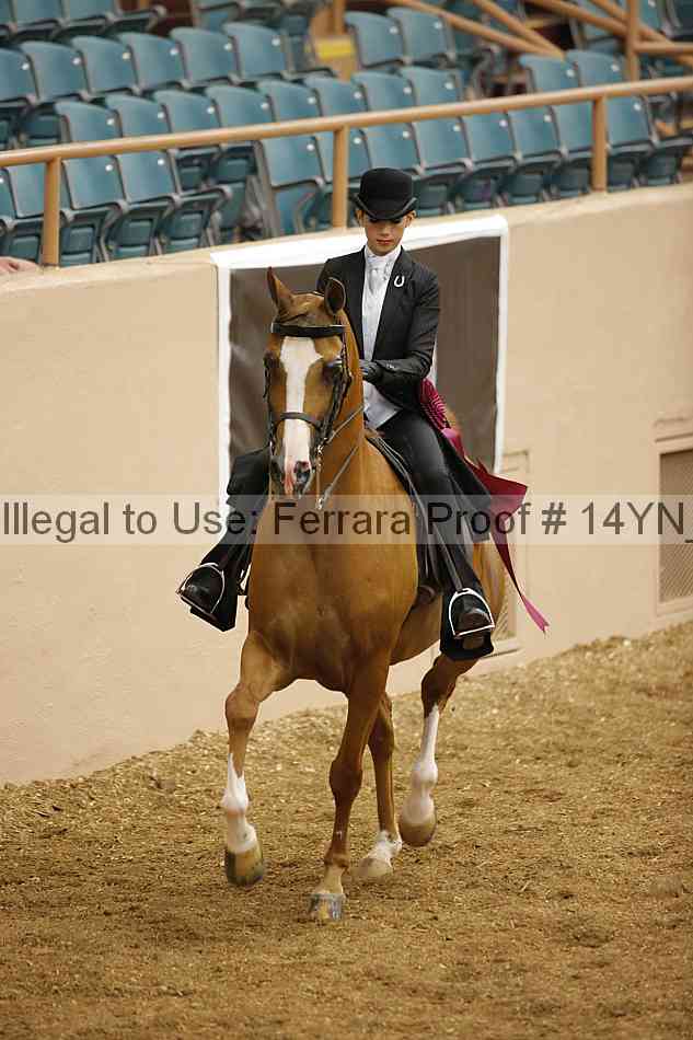 Proof 14yn_06952