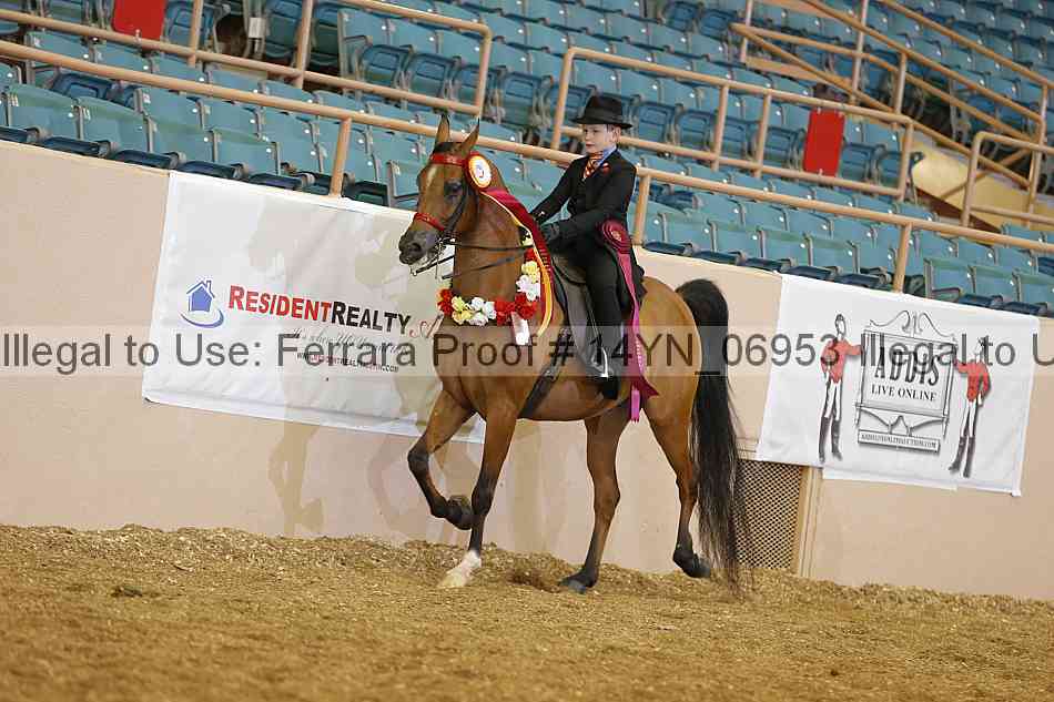 Proof 14yn_06953