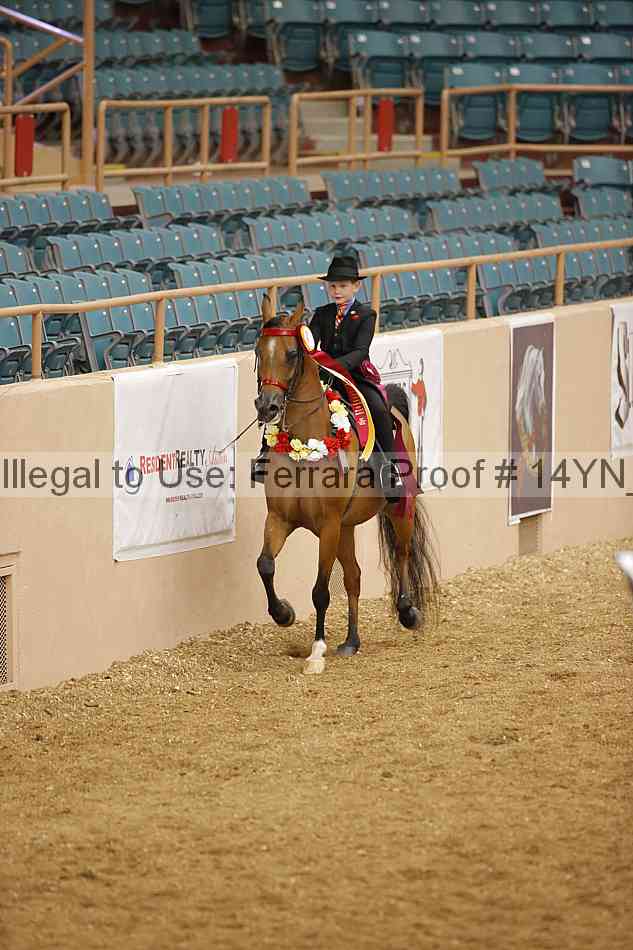Proof 14yn_06955