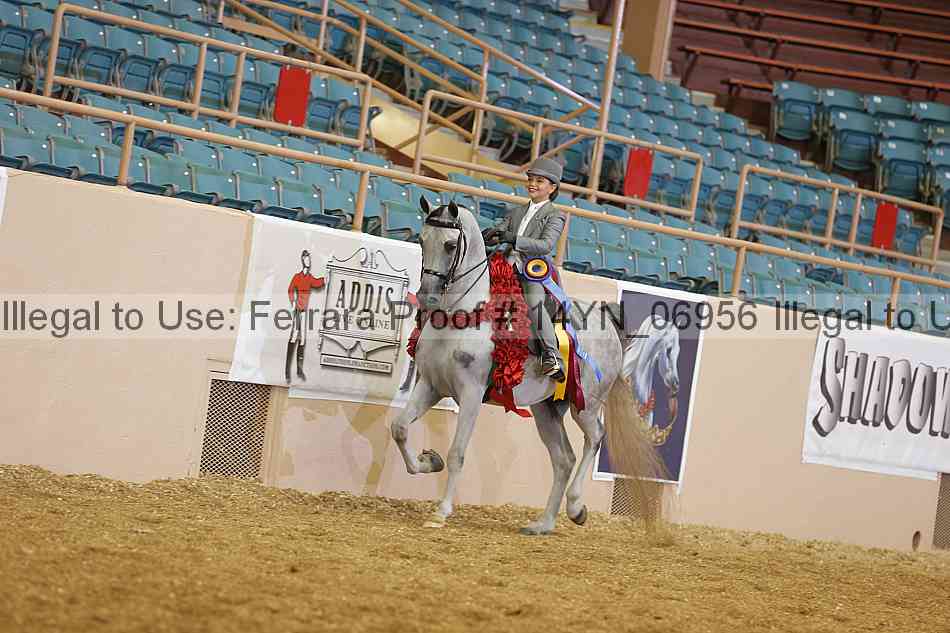 Proof 14yn_06956