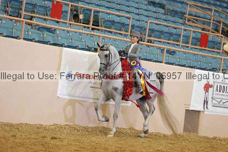 Proof 14yn_06957