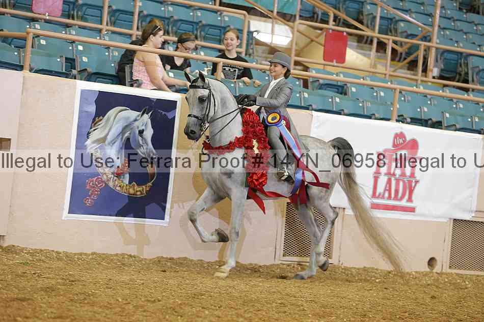 Proof 14yn_06958
