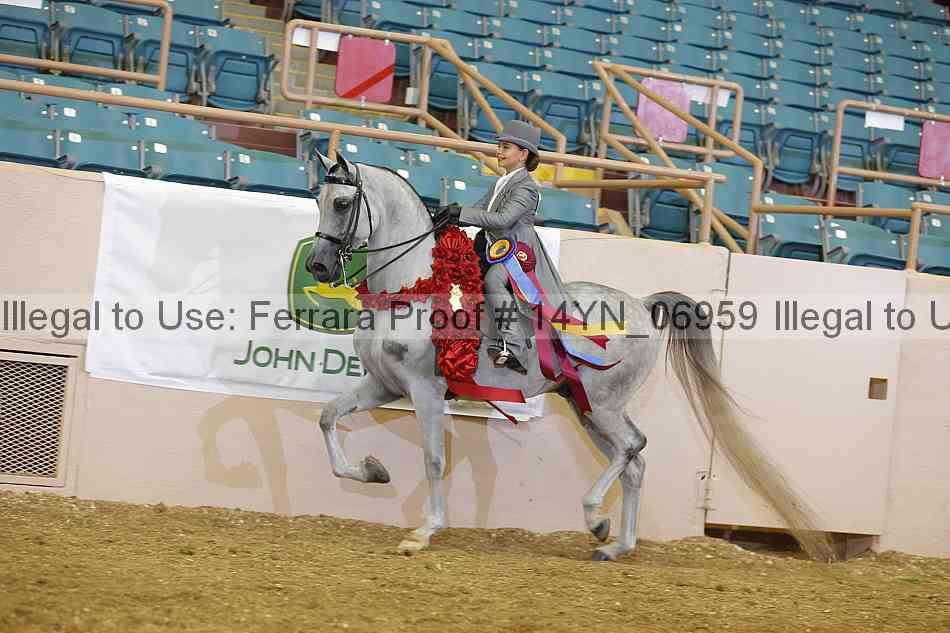 Proof 14yn_06959