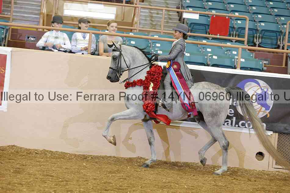 Proof 14yn_06960