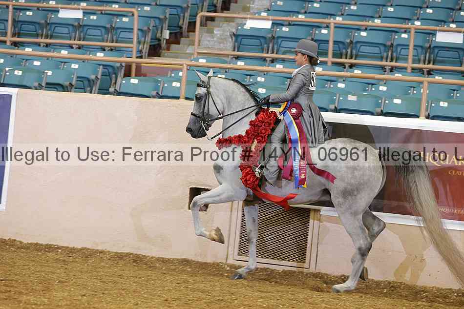 Proof 14yn_06961
